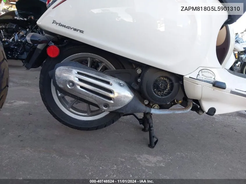 2020 Vespa Primavera VIN: ZAPM818G5L5901310 Lot: 40748524