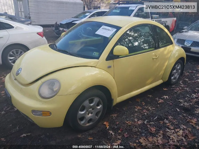 1999 Volkswagen New Beetle Gl VIN: 3VWBC21C5XM423813 Lot: 40805837