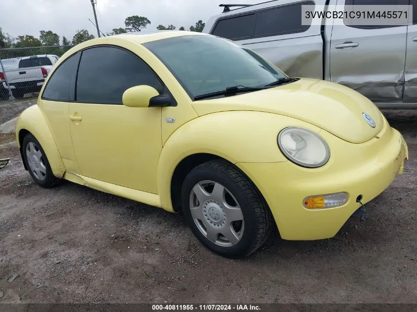 2001 Volkswagen New Beetle Gls VIN: 3VWCB21C91M445571 Lot: 40811955