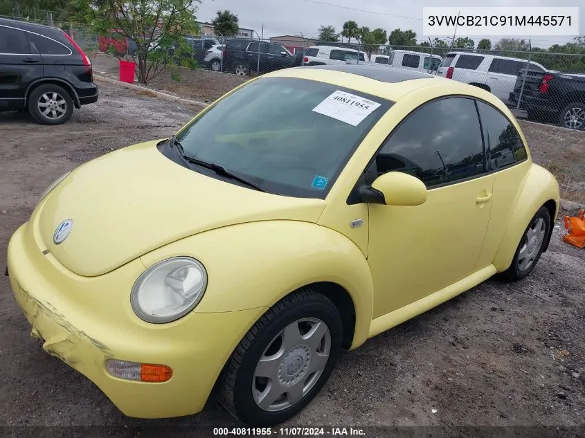 2001 Volkswagen New Beetle Gls VIN: 3VWCB21C91M445571 Lot: 40811955