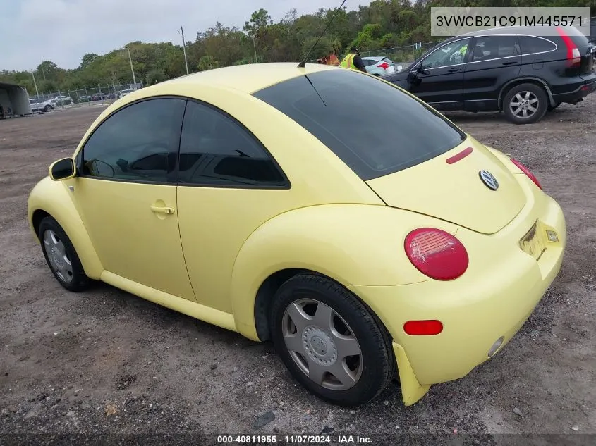 2001 Volkswagen New Beetle Gls VIN: 3VWCB21C91M445571 Lot: 40811955