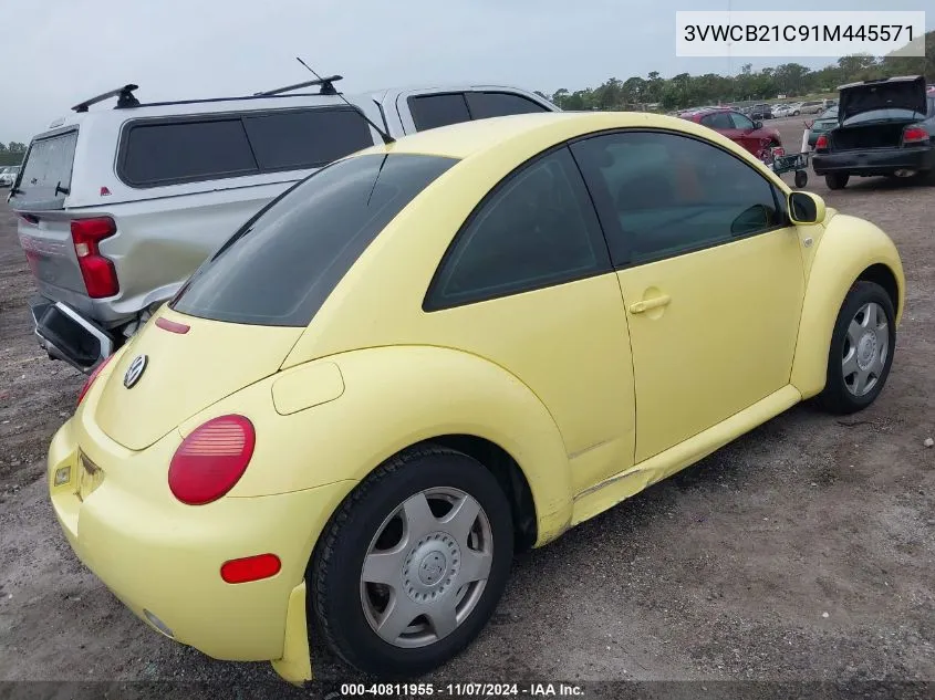 2001 Volkswagen New Beetle Gls VIN: 3VWCB21C91M445571 Lot: 40811955