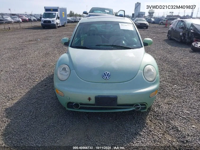 2002 Volkswagen New Beetle Glx VIN: 3VWDD21C32M409827 Lot: 40566733