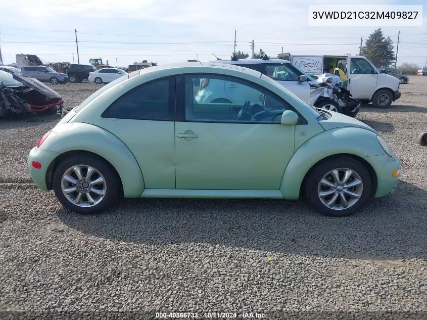 2002 Volkswagen New Beetle Glx VIN: 3VWDD21C32M409827 Lot: 40566733