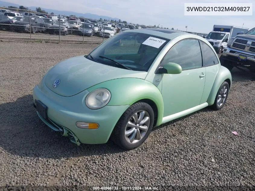 2002 Volkswagen New Beetle Glx VIN: 3VWDD21C32M409827 Lot: 40566733