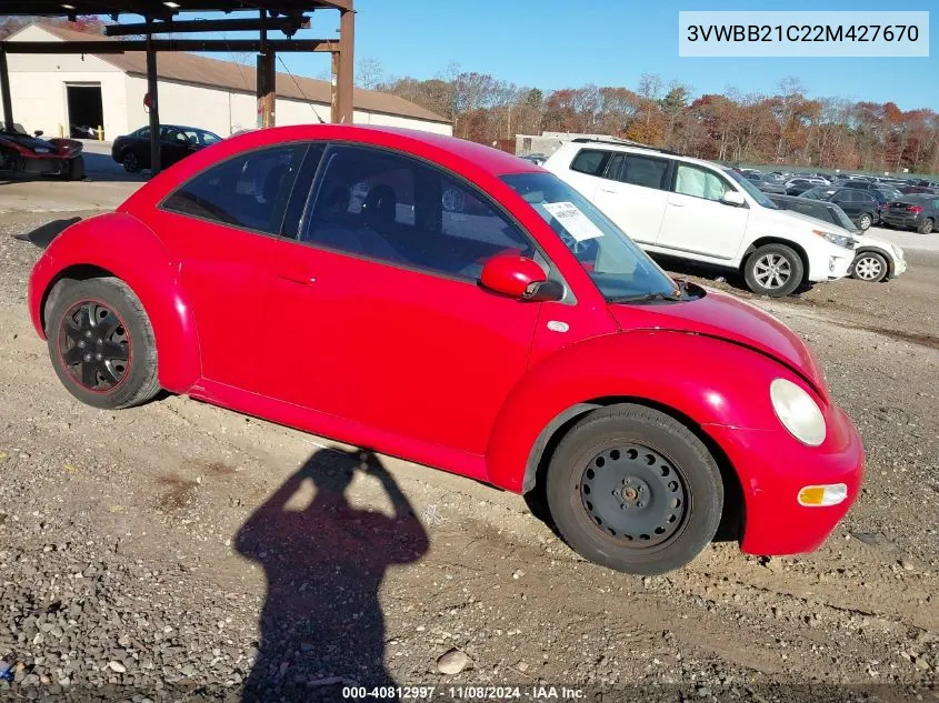 2002 Volkswagen New Beetle Gl VIN: 3VWBB21C22M427670 Lot: 40812997