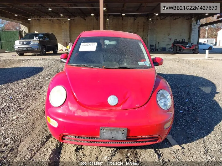 2002 Volkswagen New Beetle Gl VIN: 3VWBB21C22M427670 Lot: 40812997