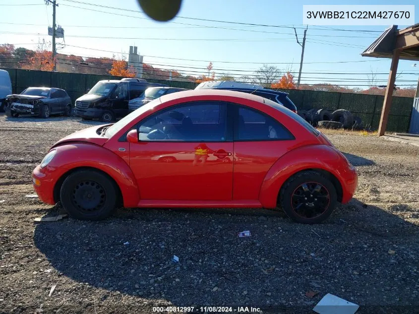 2002 Volkswagen New Beetle Gl VIN: 3VWBB21C22M427670 Lot: 40812997