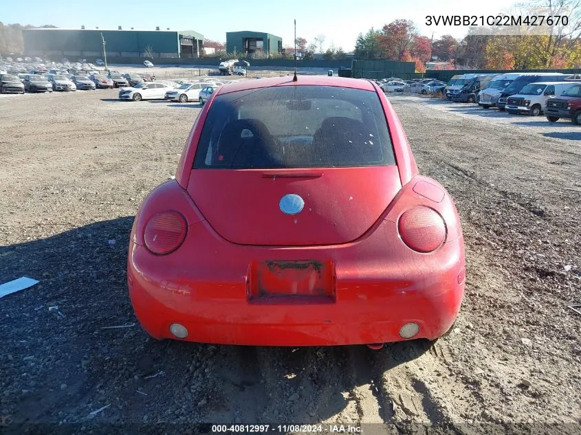 2002 Volkswagen New Beetle Gl VIN: 3VWBB21C22M427670 Lot: 40812997