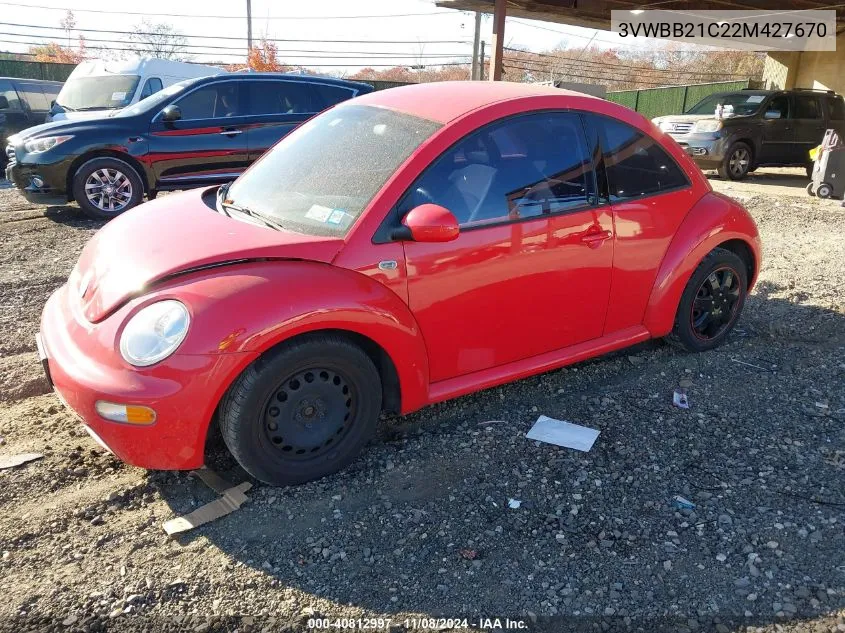 2002 Volkswagen New Beetle Gl VIN: 3VWBB21C22M427670 Lot: 40812997