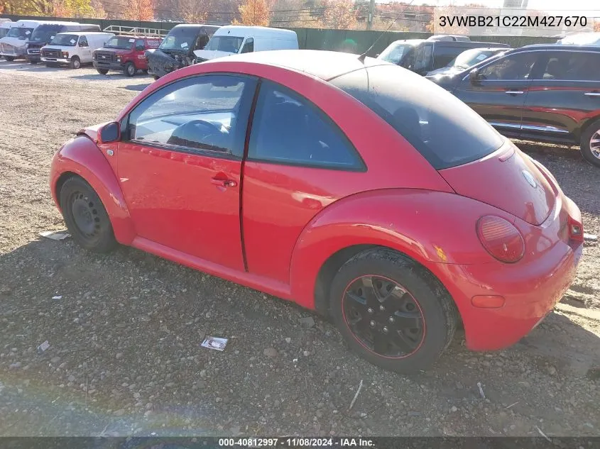 2002 Volkswagen New Beetle Gl VIN: 3VWBB21C22M427670 Lot: 40812997