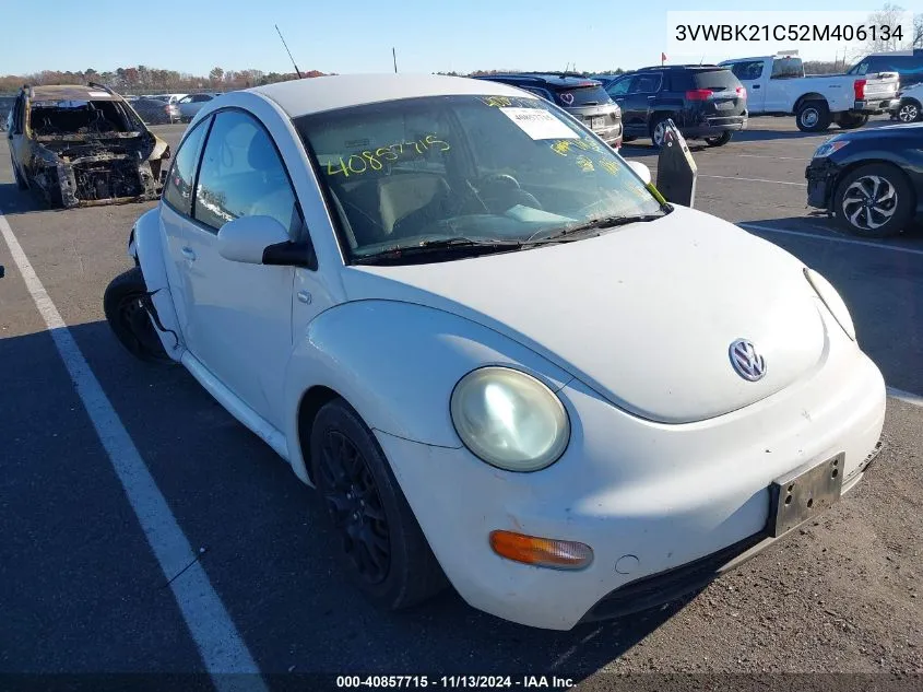 2002 Volkswagen New Beetle Gl VIN: 3VWBK21C52M406134 Lot: 40857715