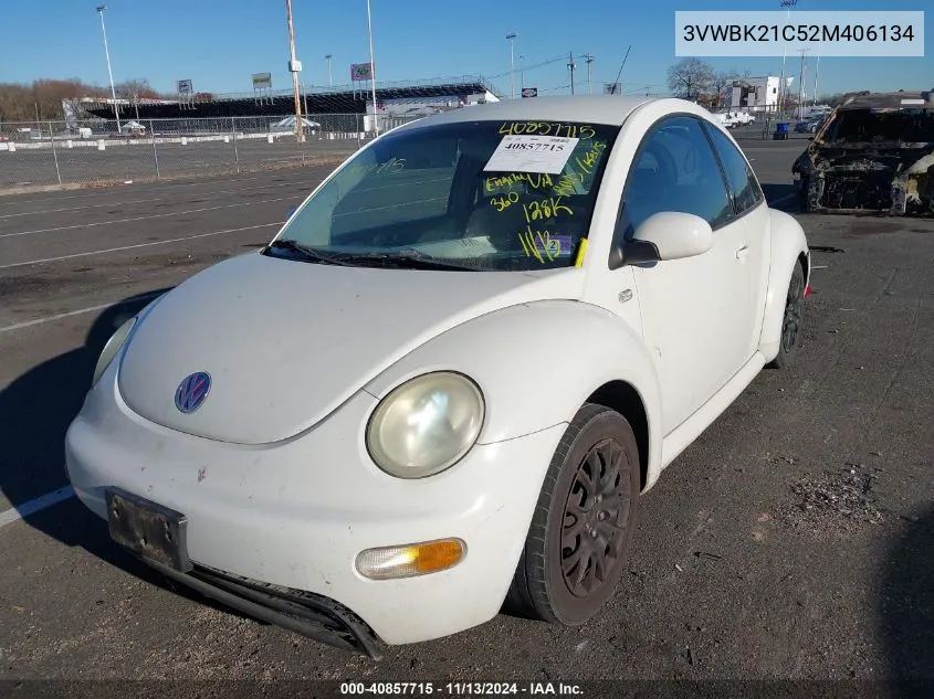 2002 Volkswagen New Beetle Gl VIN: 3VWBK21C52M406134 Lot: 40857715