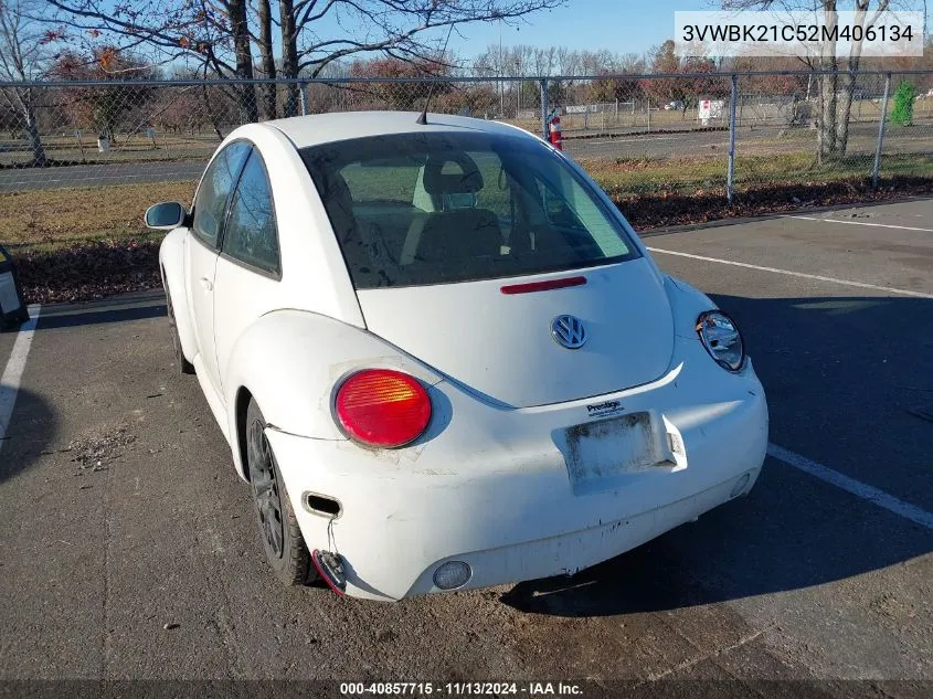 2002 Volkswagen New Beetle Gl VIN: 3VWBK21C52M406134 Lot: 40857715