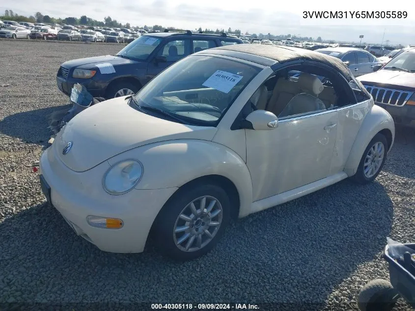 2005 Volkswagen New Beetle Gls VIN: 3VWCM31Y65M305589 Lot: 40305118