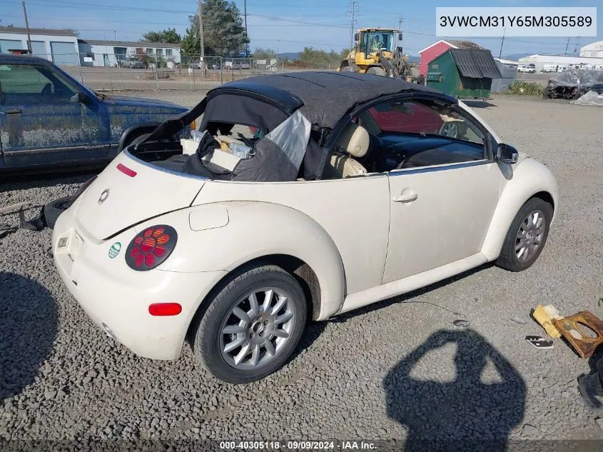 2005 Volkswagen New Beetle Gls VIN: 3VWCM31Y65M305589 Lot: 40305118