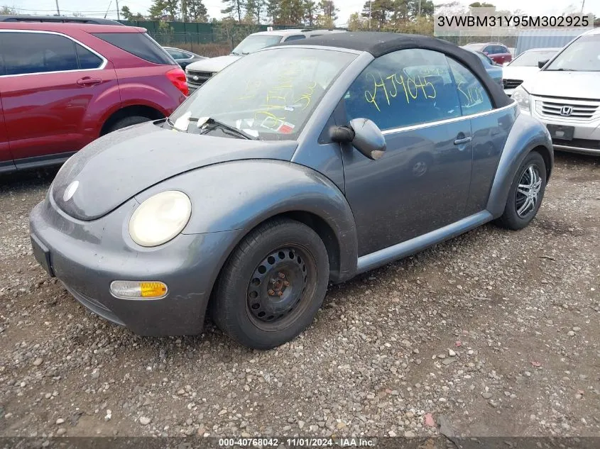 2005 Volkswagen New Beetle Gl VIN: 3VWBM31Y95M302925 Lot: 40768042