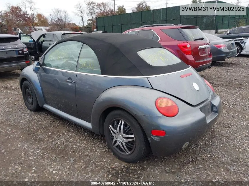 2005 Volkswagen New Beetle Gl VIN: 3VWBM31Y95M302925 Lot: 40768042