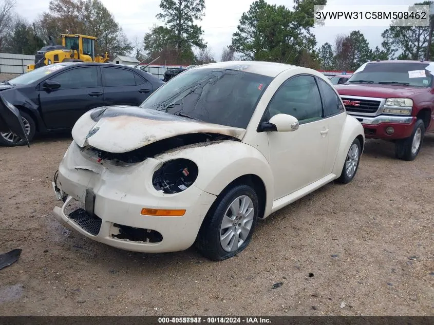 2008 Volkswagen New Beetle Coupe S VIN: 3VWPW31C58M508462 Lot: 40557947