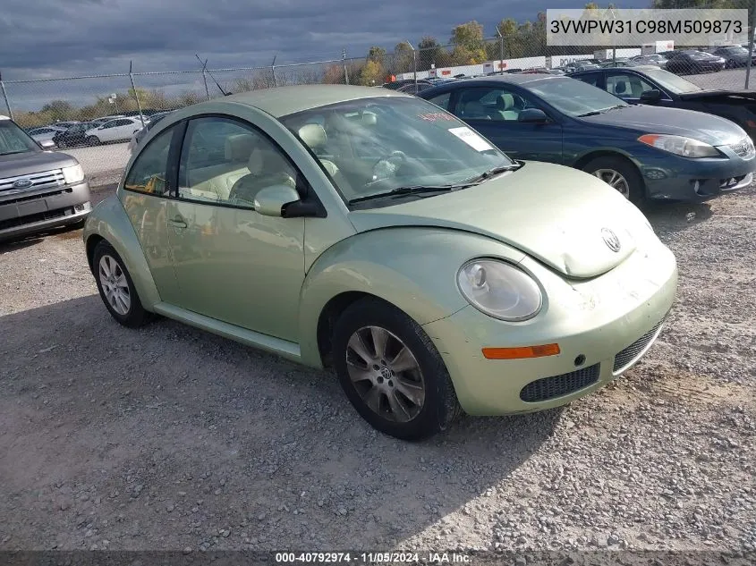 2008 Volkswagen New Beetle Coupe S VIN: 3VWPW31C98M509873 Lot: 40792974