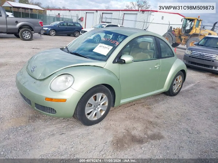 2008 Volkswagen New Beetle Coupe S VIN: 3VWPW31C98M509873 Lot: 40792974