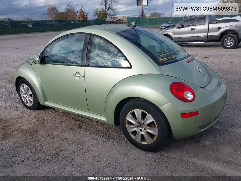 2008 Volkswagen New Beetle Coupe S VIN: 3VWPW31C98M509873 Lot: 40792974