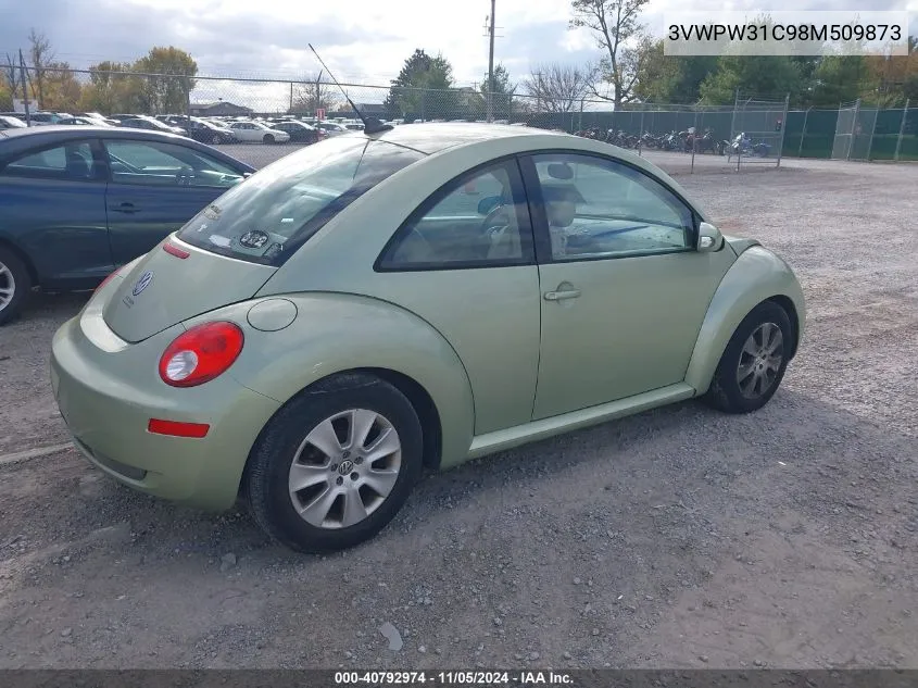 2008 Volkswagen New Beetle Coupe S VIN: 3VWPW31C98M509873 Lot: 40792974