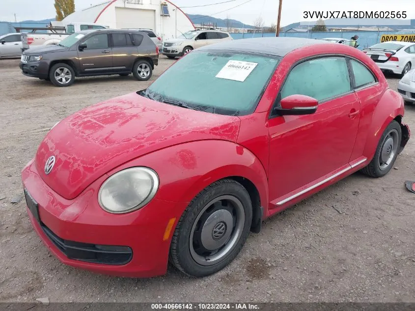 2013 Volkswagen Beetle 2.5L VIN: 3VWJX7AT8DM602565 Lot: 40666142