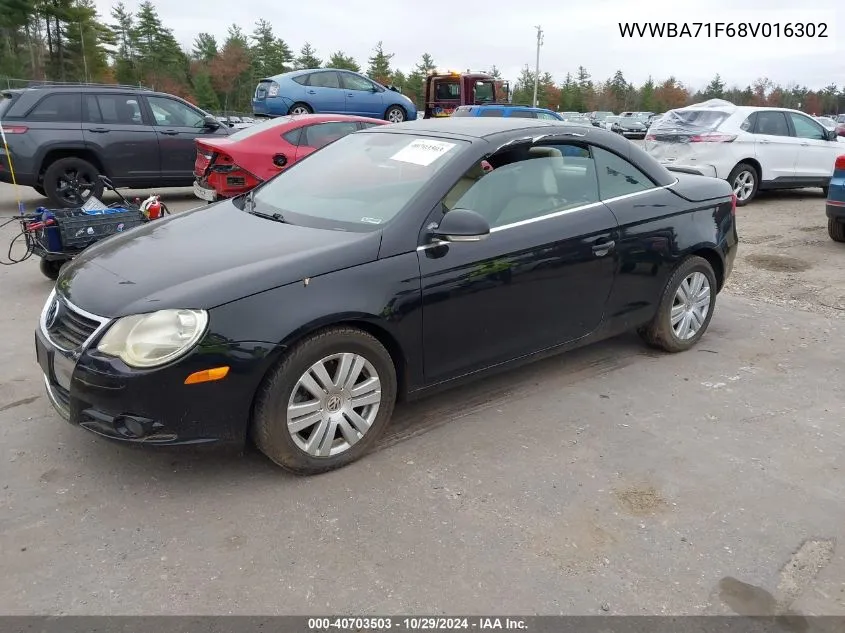 2008 Volkswagen Eos Komfort VIN: WVWBA71F68V016302 Lot: 40703503