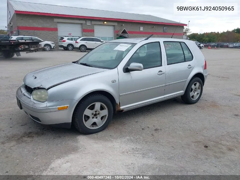 2002 Volkswagen Golf Gls 2.0L VIN: 9BWGK61J924050965 Lot: 40497245