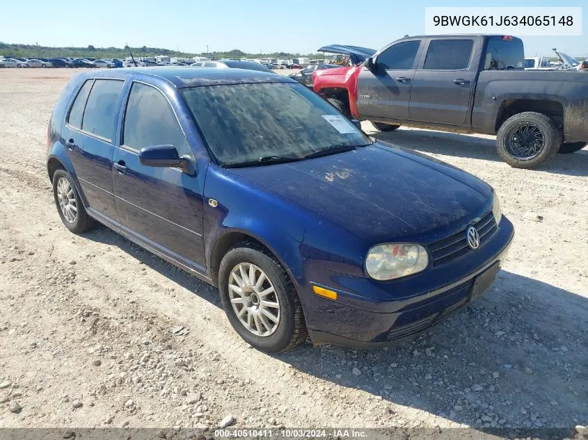 2003 Volkswagen Golf Gls 2.0L VIN: 9BWGK61J634065148 Lot: 40510411