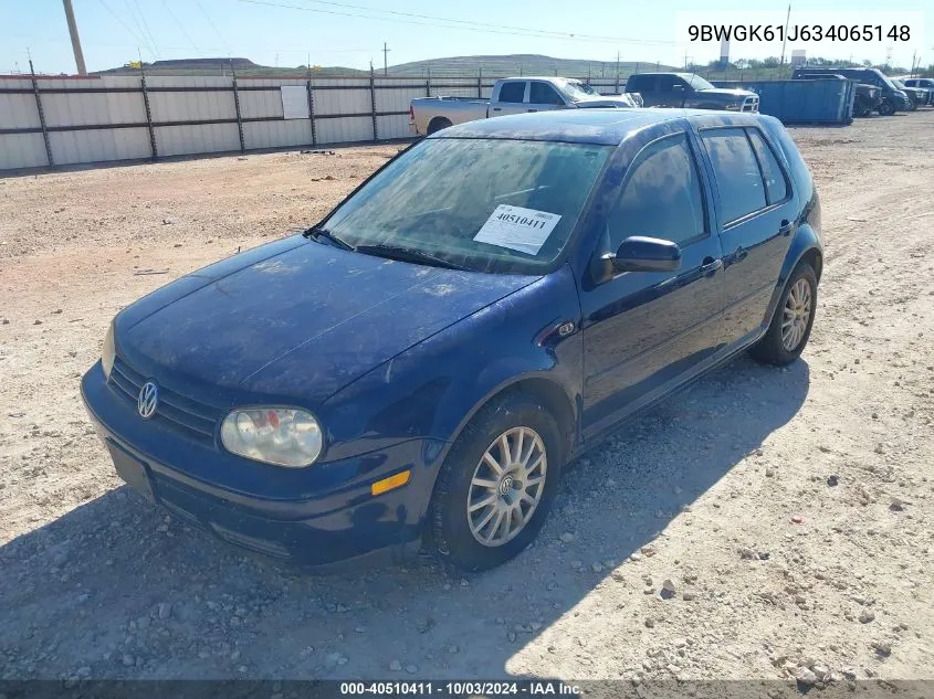 2003 Volkswagen Golf Gls 2.0L VIN: 9BWGK61J634065148 Lot: 40510411