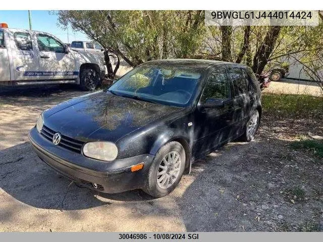 2004 Volkswagen Golf Gls VIN: 9BWGL61J444014424 Lot: 30046986