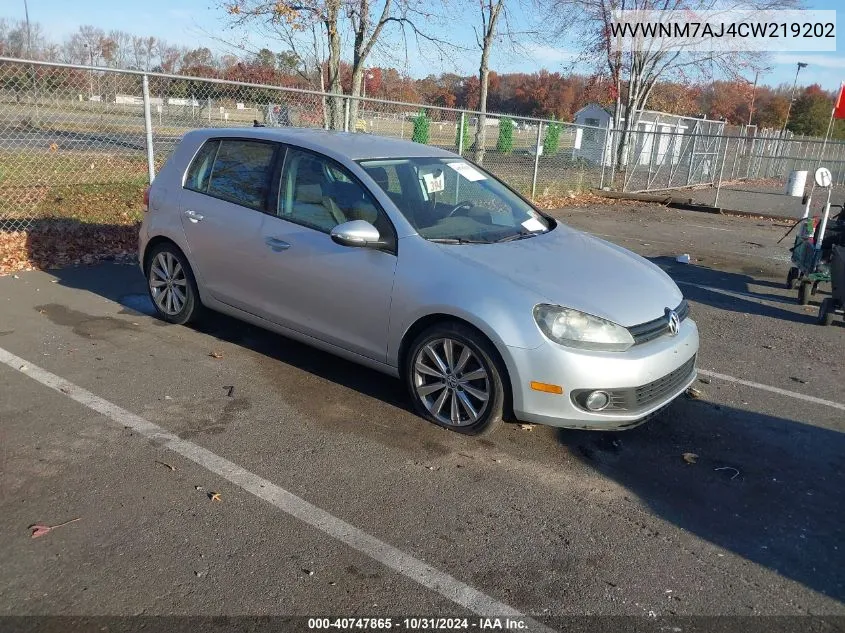 2012 Volkswagen Golf Tdi 4-Door VIN: WVWNM7AJ4CW219202 Lot: 40747865