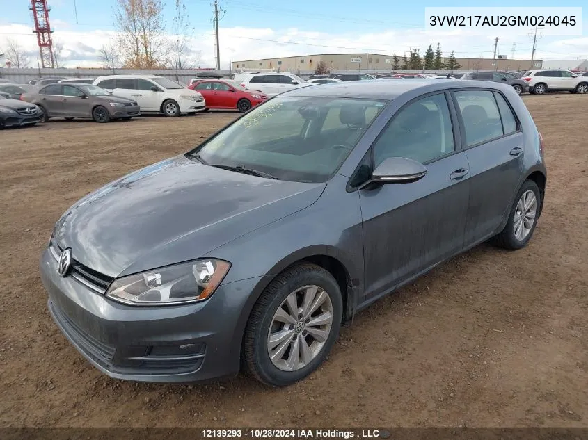 2016 Volkswagen Golf VIN: 3VW217AU2GM024045 Lot: 12139293