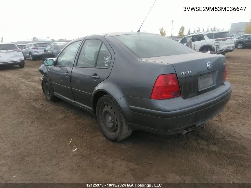 2003 Volkswagen Jetta VIN: 3VWSE29M53M036647 Lot: 12125975