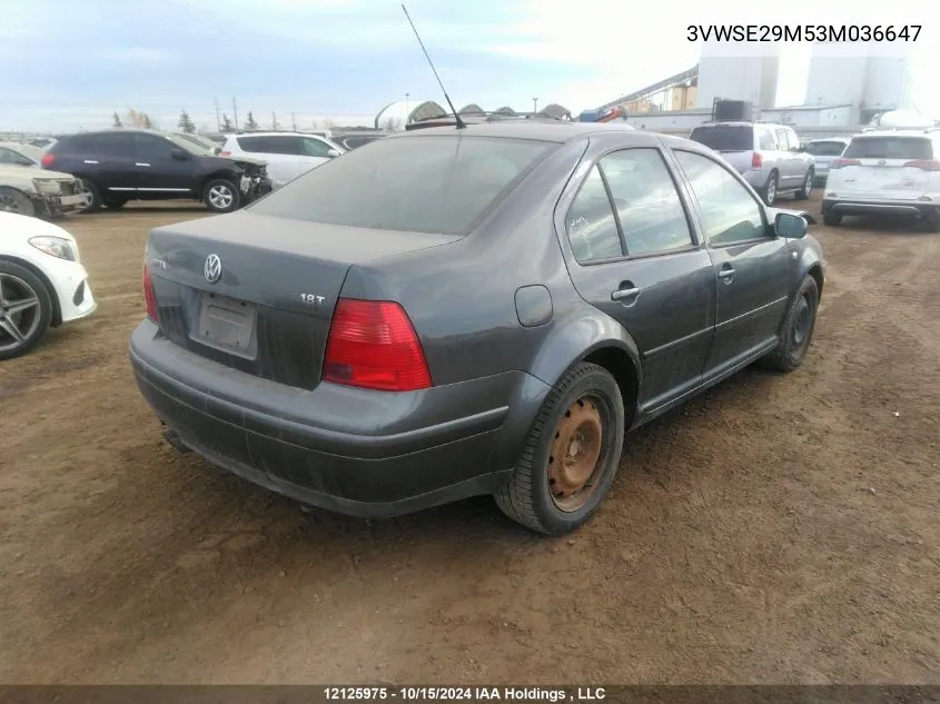 2003 Volkswagen Jetta VIN: 3VWSE29M53M036647 Lot: 12125975