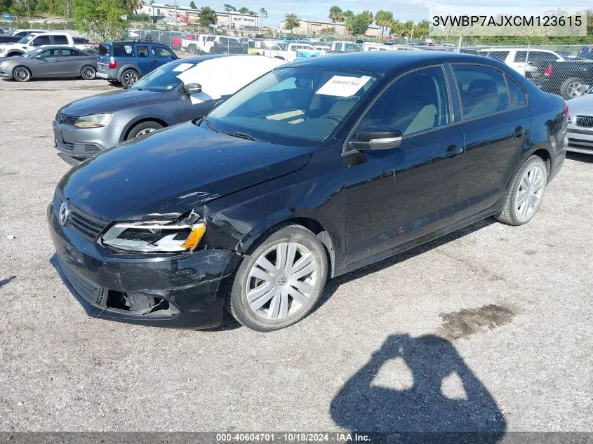 2012 Volkswagen Jetta 2.5L Se VIN: 3VWBP7AJXCM123615 Lot: 40604701