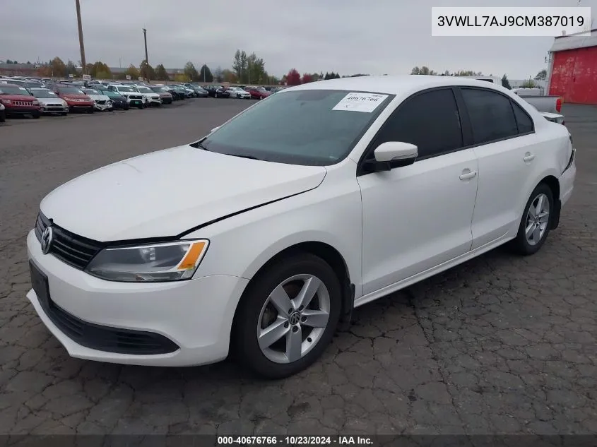 2012 Volkswagen Jetta 2.0L Tdi VIN: 3VWLL7AJ9CM387019 Lot: 40676766