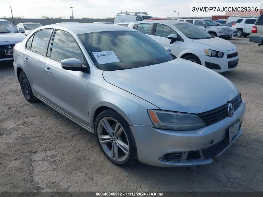 2012 Volkswagen Jetta 2.5L Se VIN: 3VWDP7AJ0CM029316 Lot: 40845912