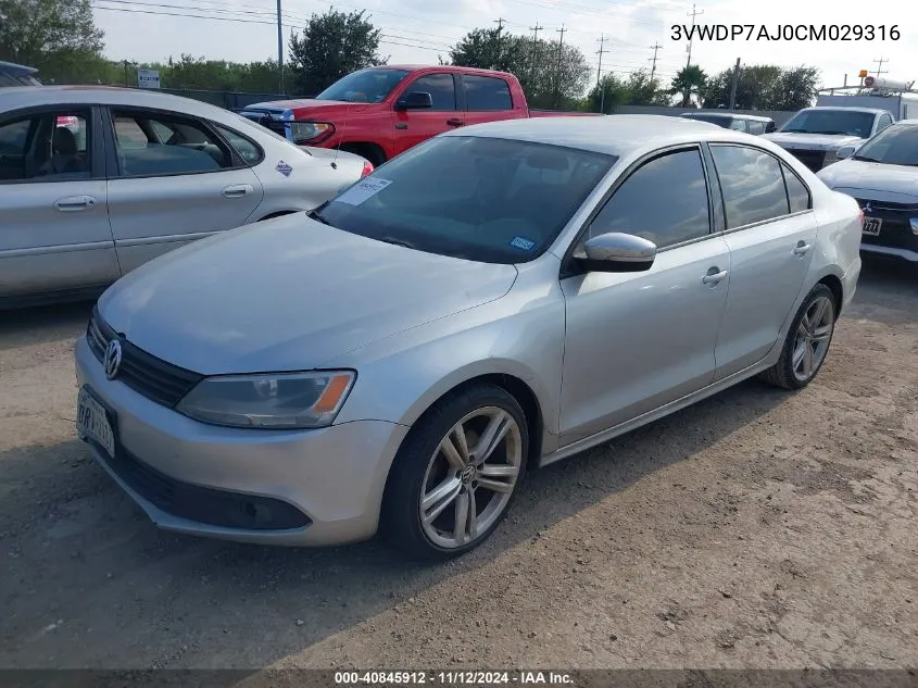 2012 Volkswagen Jetta 2.5L Se VIN: 3VWDP7AJ0CM029316 Lot: 40845912