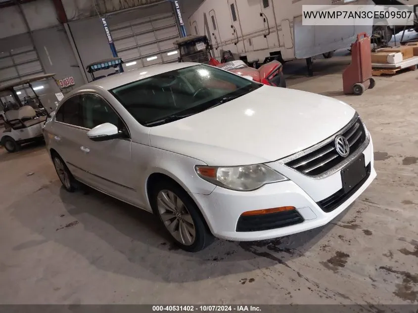 2012 Volkswagen Cc Sport VIN: WVWMP7AN3CE509507 Lot: 40531402