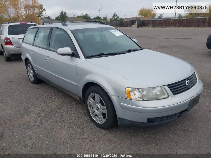 2000 Volkswagen Passat Glx VIN: WVWWH23B1YE390875 Lot: 40698110