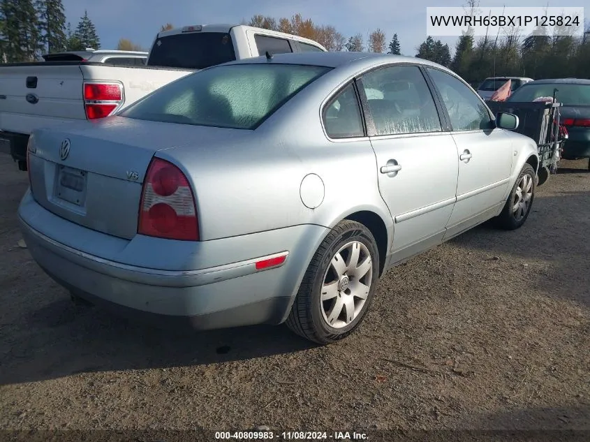 2001 Volkswagen Passat Glx VIN: WVWRH63BX1P125824 Lot: 40809983