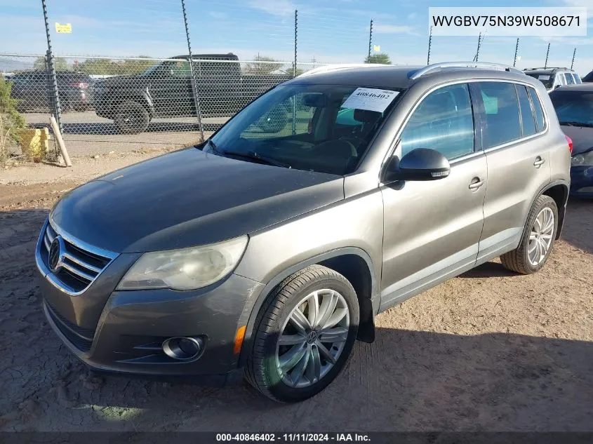 2009 Volkswagen Tiguan Se/Sel VIN: WVGBV75N39W508671 Lot: 40846402