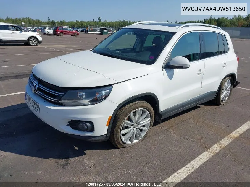 WVGJV7AX4DW513650 2013 Volkswagen Tiguan