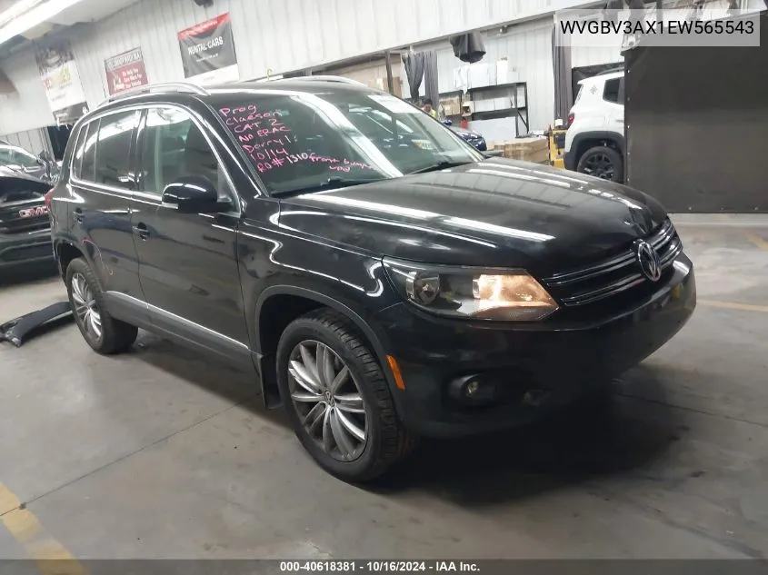 2014 Volkswagen Tiguan Sel VIN: WVGBV3AX1EW565543 Lot: 40618381