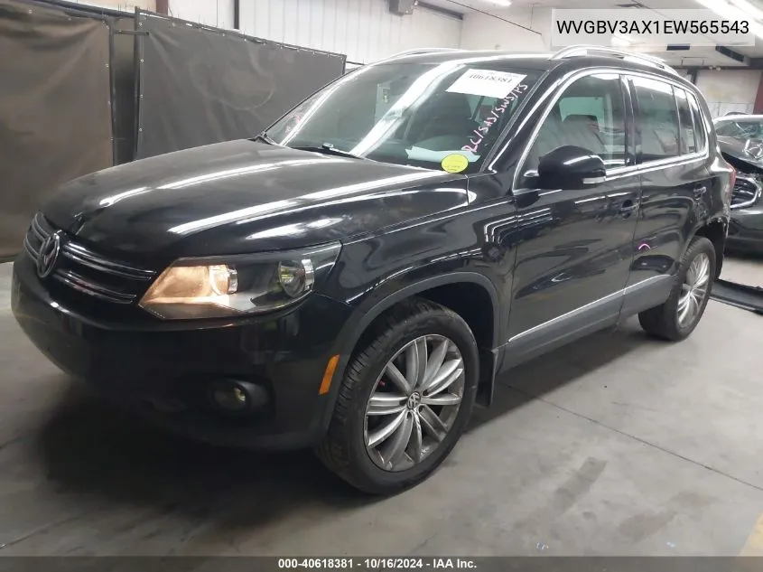 2014 Volkswagen Tiguan Sel VIN: WVGBV3AX1EW565543 Lot: 40618381