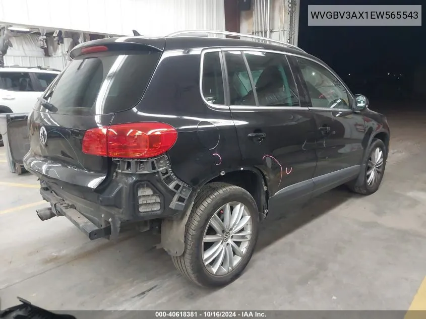 2014 Volkswagen Tiguan Sel VIN: WVGBV3AX1EW565543 Lot: 40618381