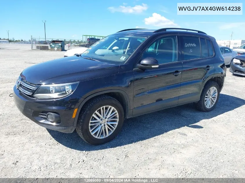 2016 Volkswagen Tiguan VIN: WVGJV7AX4GW614238 Lot: 12088080